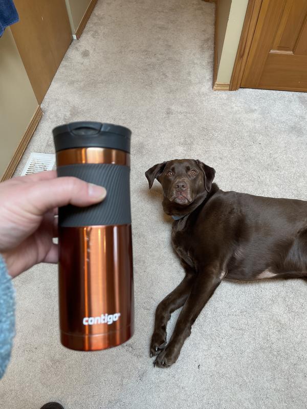  Contigo Byron Vacuum-Insulated Stainless Steel Travel