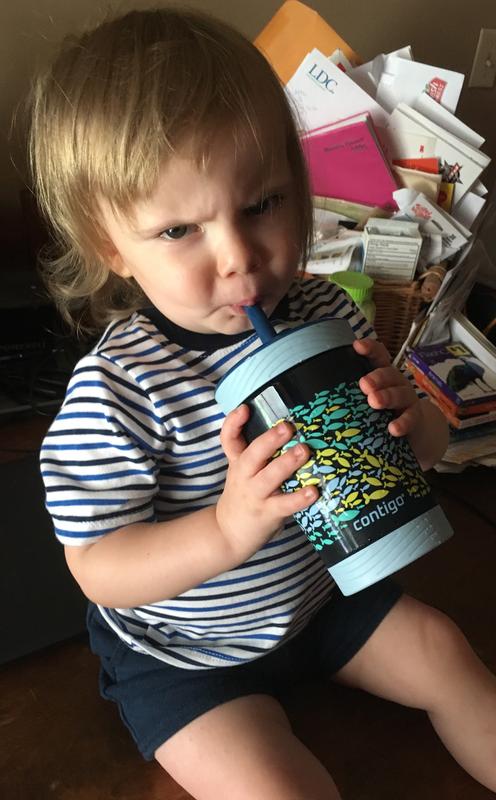 Contigo Kids Sippy Cups