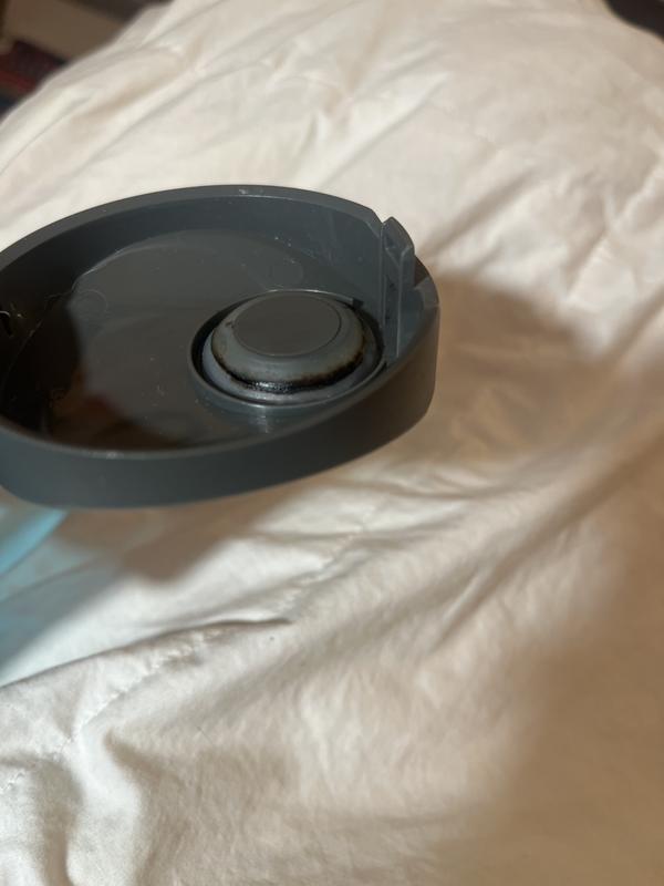 Mold under lid. Container and lid washed daily.