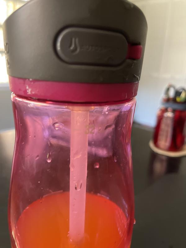 Contigo Kids Water Bottle with Autospout Straw, Lavender and Pink, 14 fl oz.