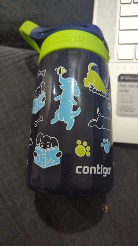 Contigo 14oz Kids' Water Bottle with Redesigned AutoSpout Straw Blue  Raspberry Azalea with Butterflies and Honeybee