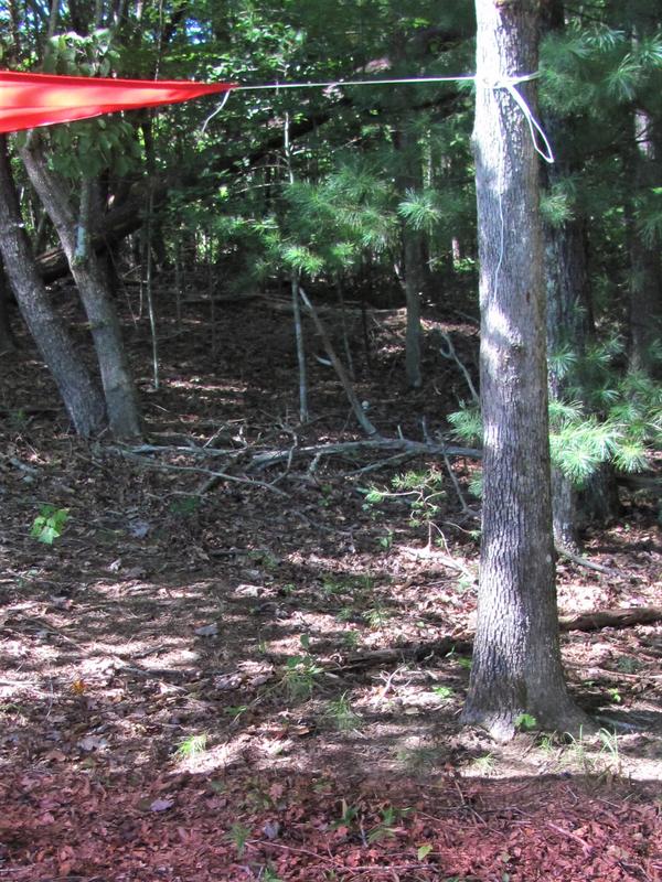 Easy installation if you have trees to tie the ropes to on three sides.