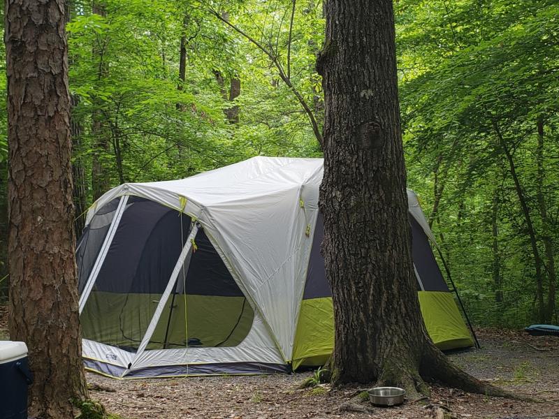 10 Person Instant Tent with Screen Room 