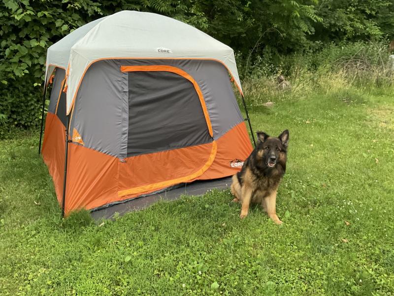 Photo submitted with review of product