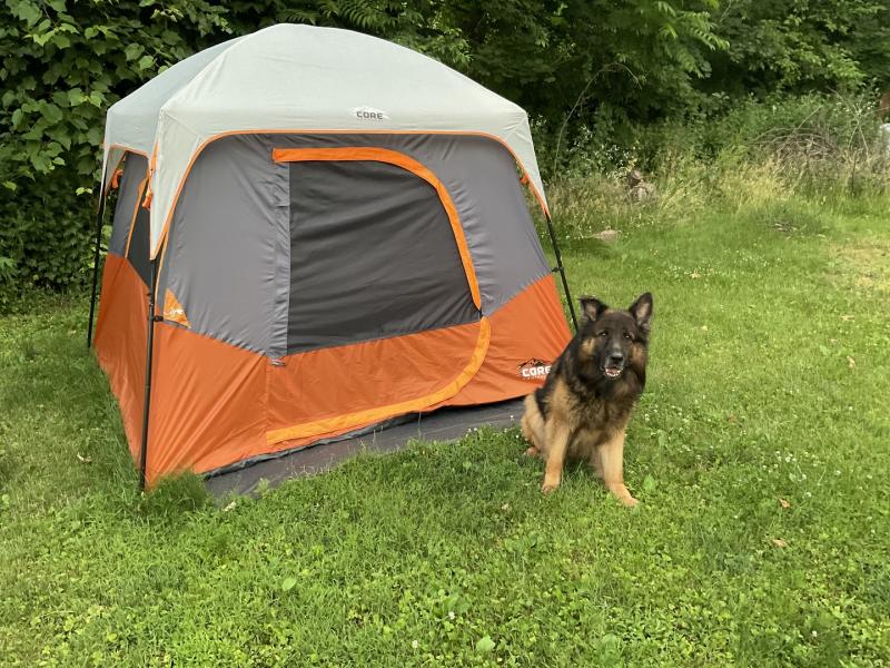 4 Person Straight Wall Cabin Tent 8' x 7' – Core Equipment