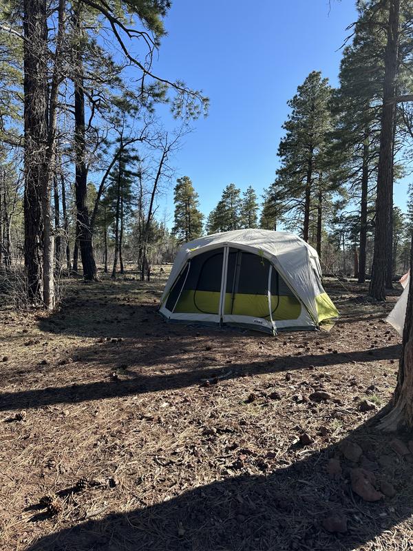 Instant family tent sale