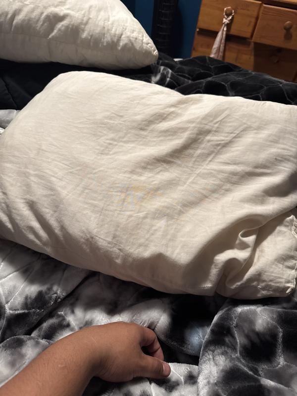 AllerEase Organic Cotton Top Allergy Protection Pillow 2 pack Costco