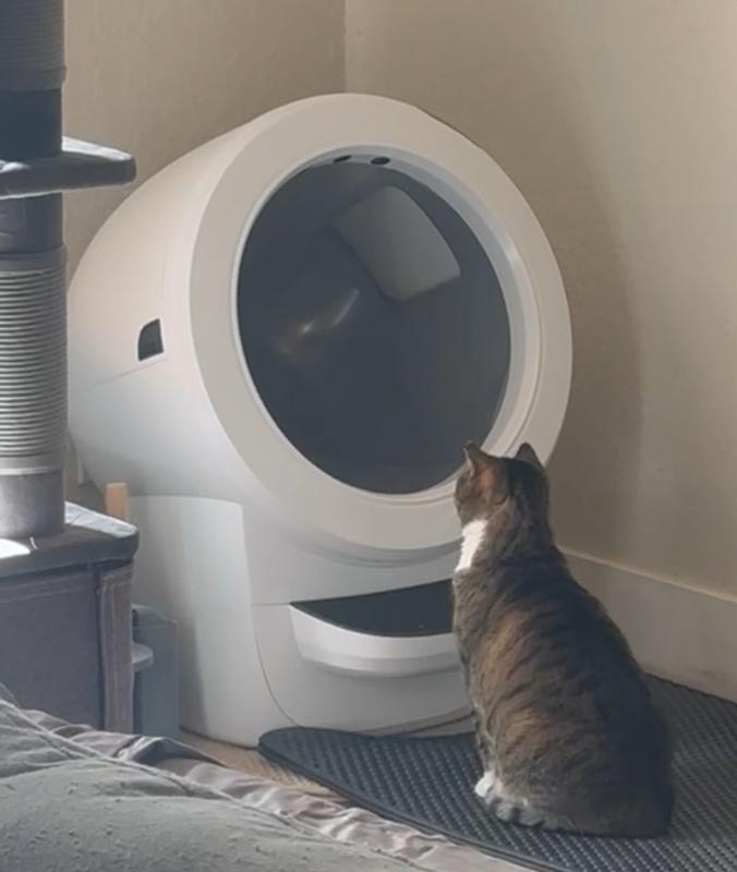 Litter robot costco hotsell