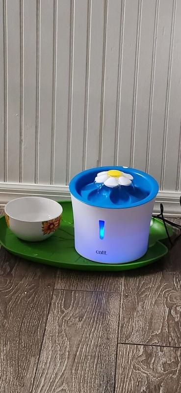 Photo - commentaire 4.