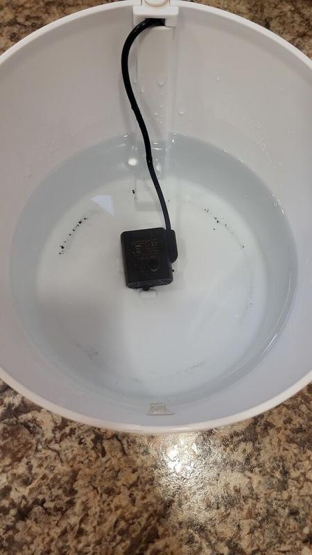 Photo - commentaire 3.