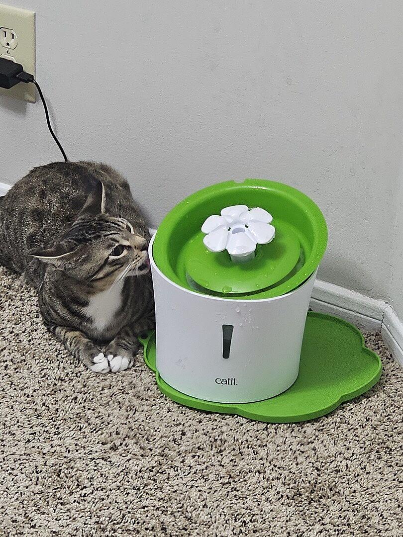 Catit Flower Cat Water Fountain Petco