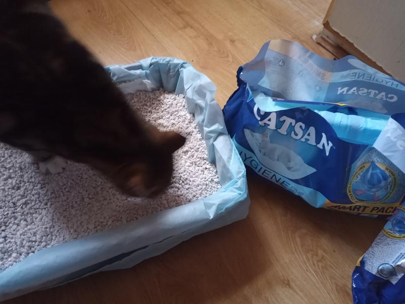 Catsan cat litter bulk buy sale