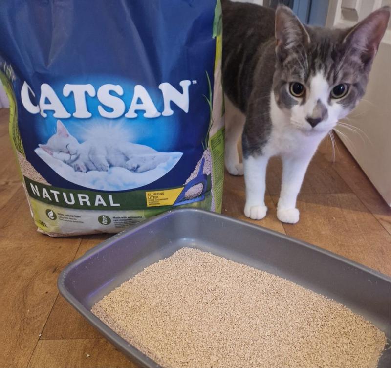 Catsan cat litter bulk buy best sale