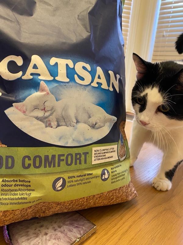 Cat litter with no smell best sale