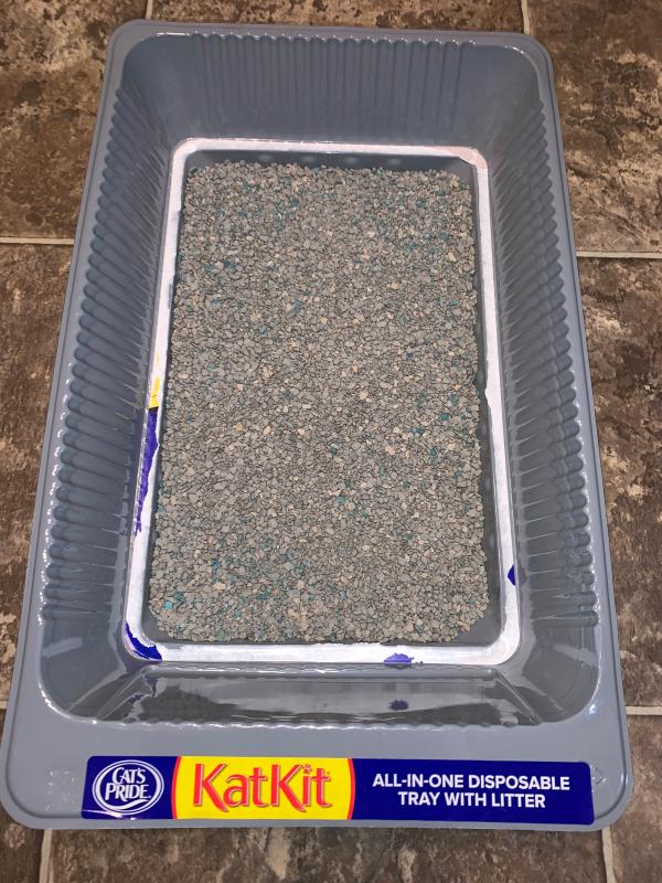 Cat's pride disposable hot sale cat litter tray