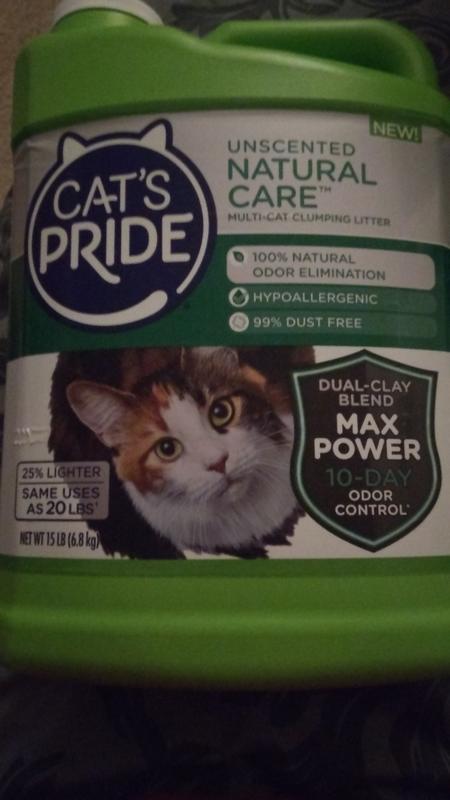 Cat's pride outlet natural unscented