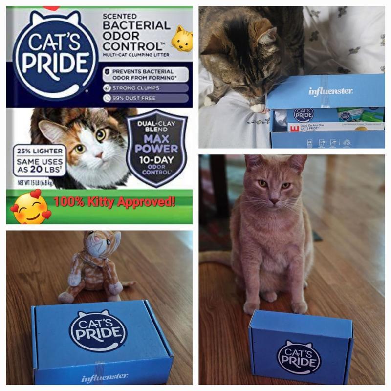 Max Power: Bacterial Odor Control Scented - Cat's Pride