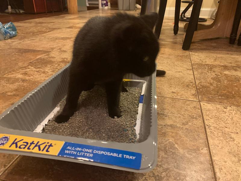 Kat kit cheap litter tray