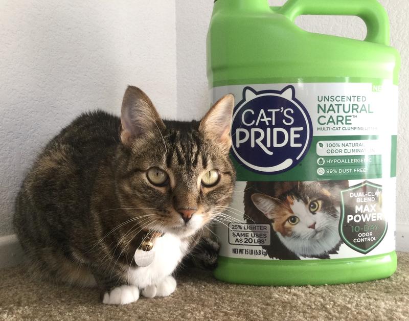 Cat's pride 2024 natural unscented