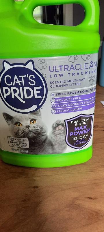 Powerful Clean Paws Cat Litter - 10-Day Odor Control, 99% Dust-Free - 2  Pack