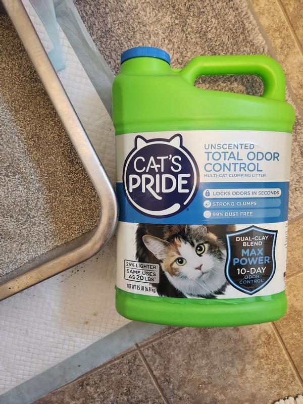 Powerful Clean Paws Cat Litter - 10-Day Odor Control, 99% Dust-Free - 2  Pack