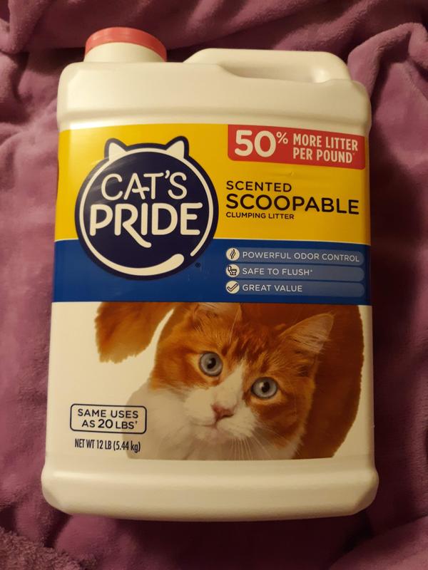 Cat's pride scoopable outlet litter