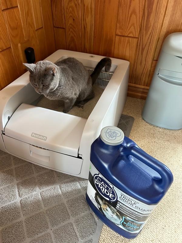 Peter loves 🐈‍⬛🐈 on X: Cleaning the Litterbox bc my cat is   / X