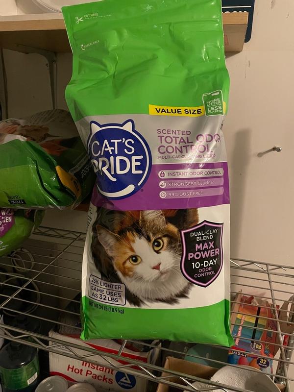 My cat smells like litter clearance