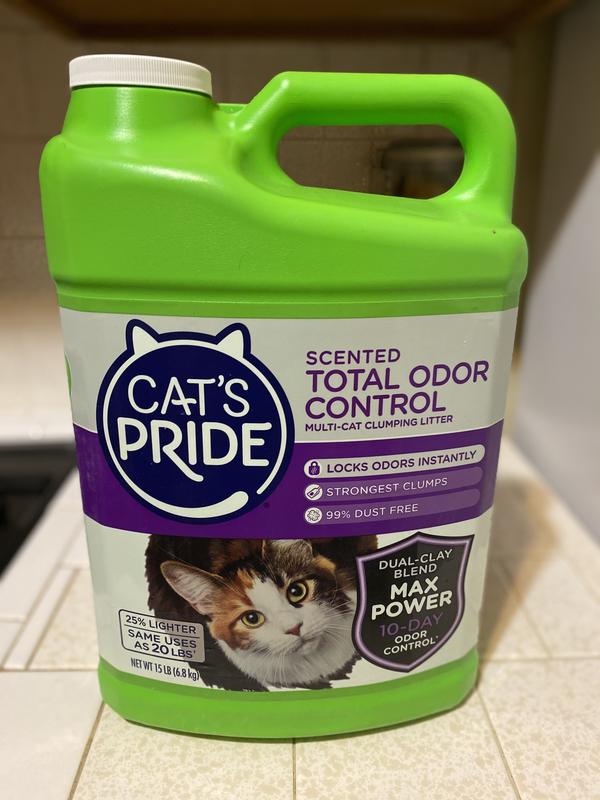 Powerful Clean Paws Cat Litter - 10-Day Odor Control, 99% Dust-Free - 2  Pack