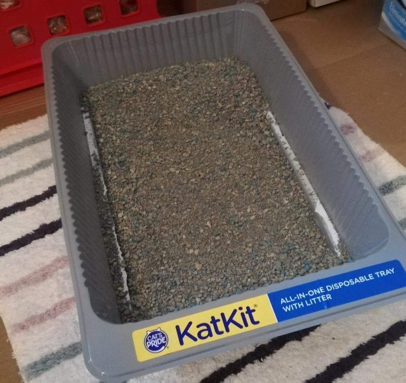 Katkit disposable litter outlet box