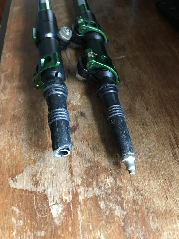 ascend acadia trekking pole