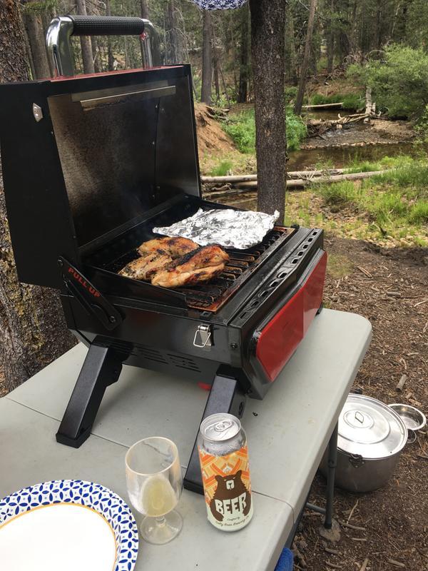 Portable infrared hotsell gas grill