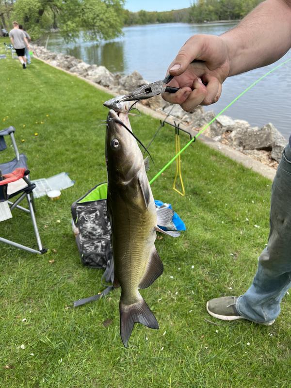 RM Industries Rite-Hite Fishing Rod Holder | Cabela's