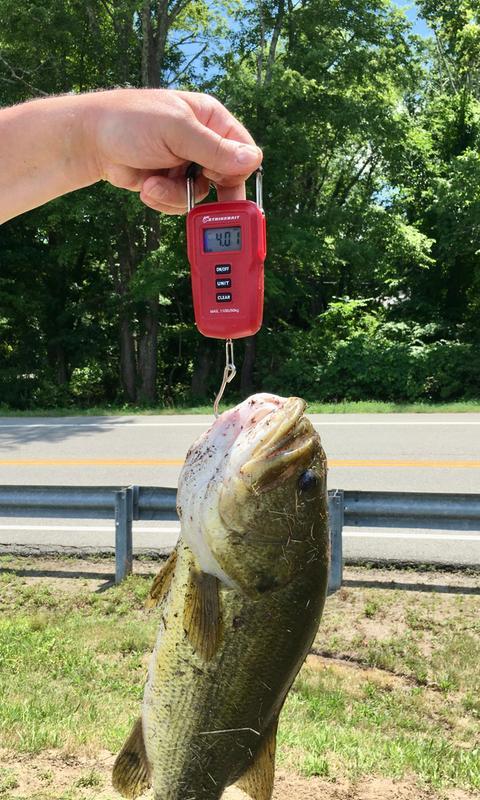 3/16 oz WOO! Tungsten Wacky Head Weedless Jigs (3 pack) – WOO! Tungsten  Canada