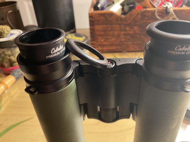 Cabelas intensity best sale binoculars review