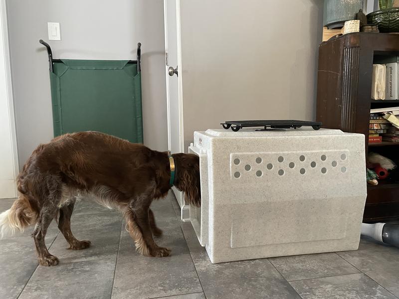 Cabelas Ruff Land Kennel atelieryuwa.ciao.jp