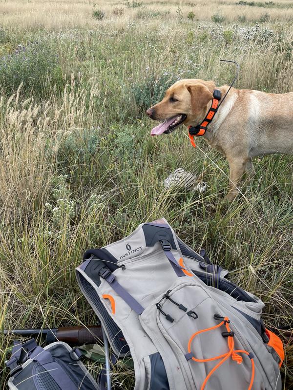 Bird hunting vest on sale cabela's