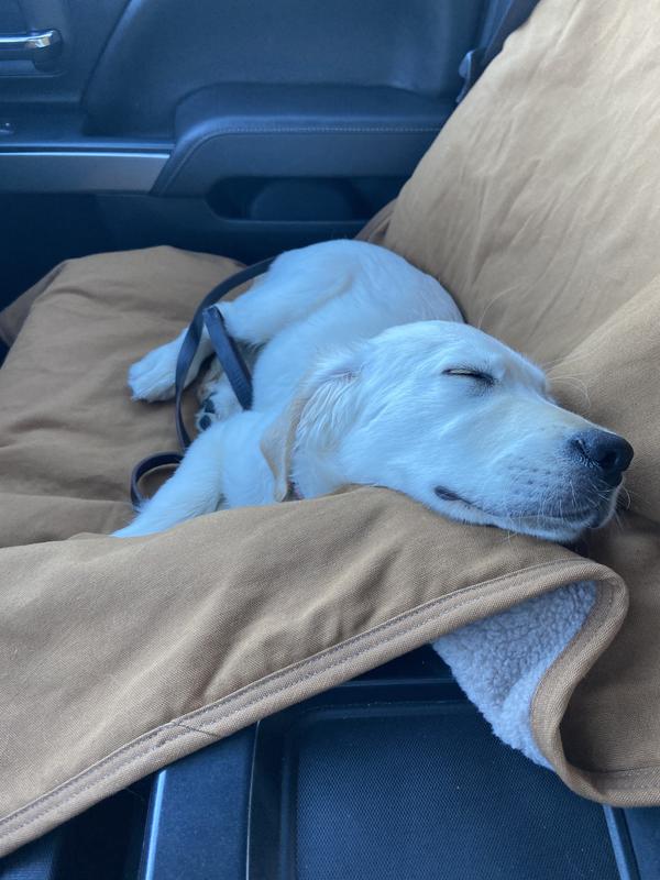 Carhartt shop dog blanket