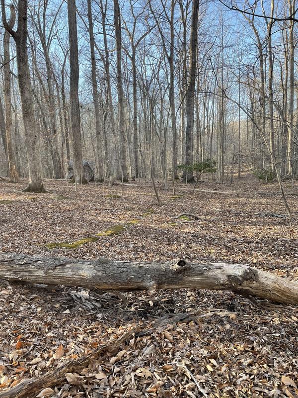 Northern Flight 3-Person Field Hunting Blind