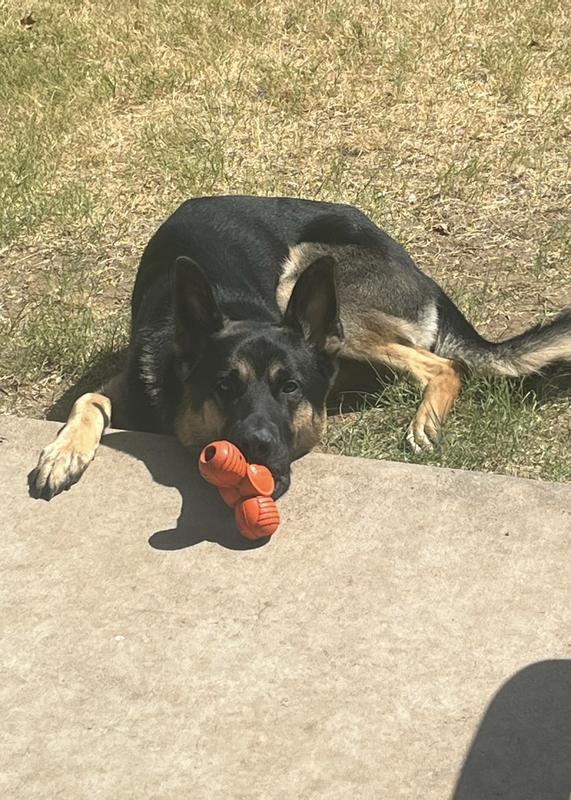 Troog Squeak 'n Treat - LA's Dog Trainer