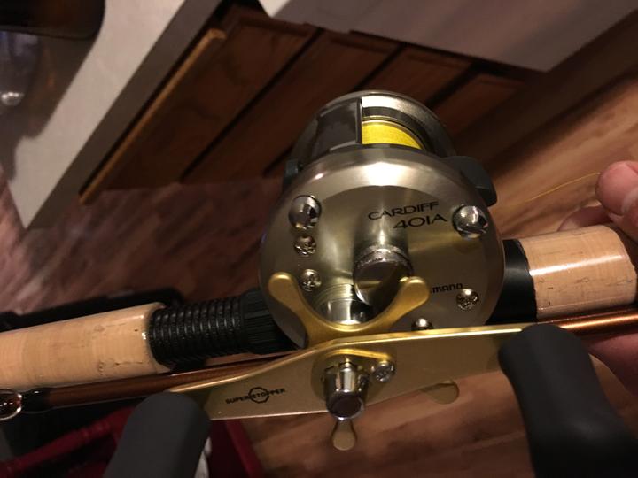 shimano cardiff baitcasting reel