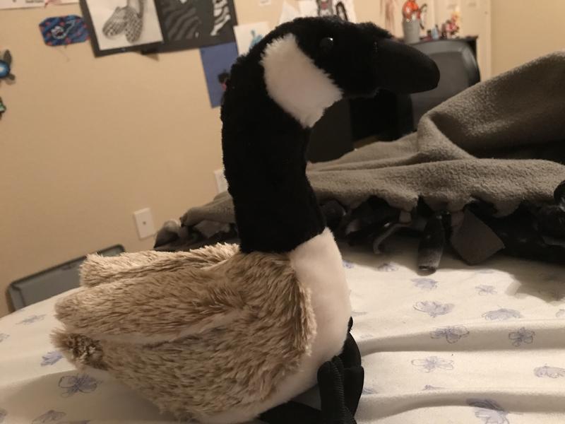 Canada goose hotsell stuffed animal