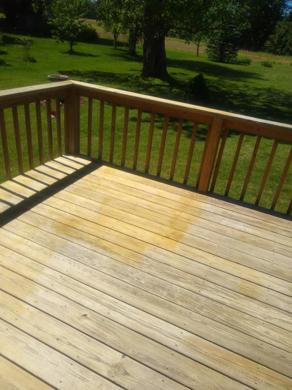 Cabot Wood Protector Clear Exterior Wood Stain (1-Gallon) in the