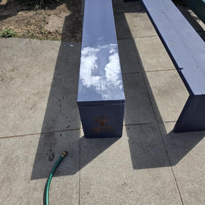 Photo - commentaire&nbsp;7.