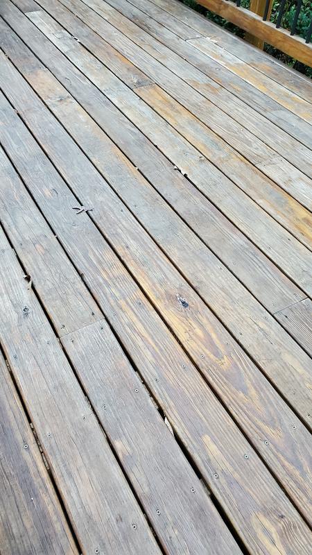 Photo - commentaire 6.