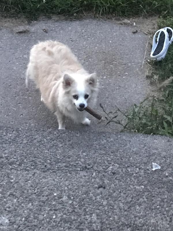 He took it outside