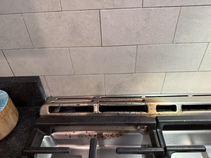 Customer photo 4 of 4. Click to open full size image.