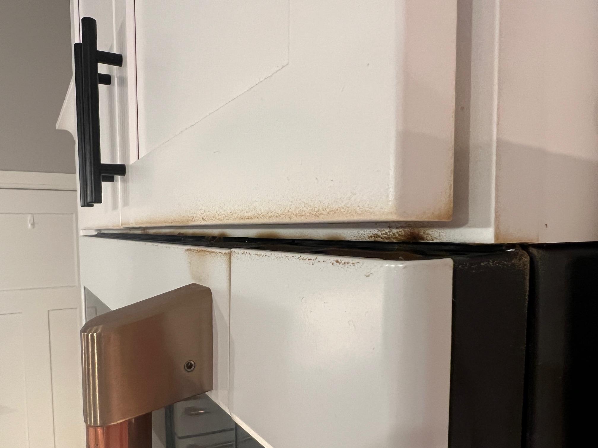 Image 2 of 3
