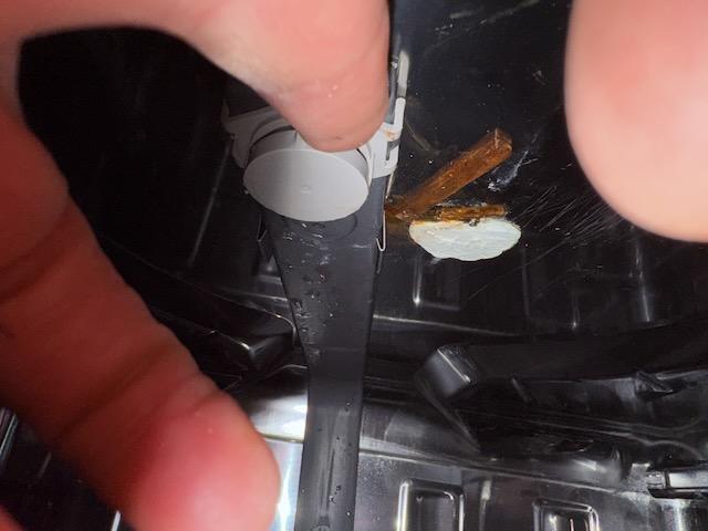 Image 5 of 5