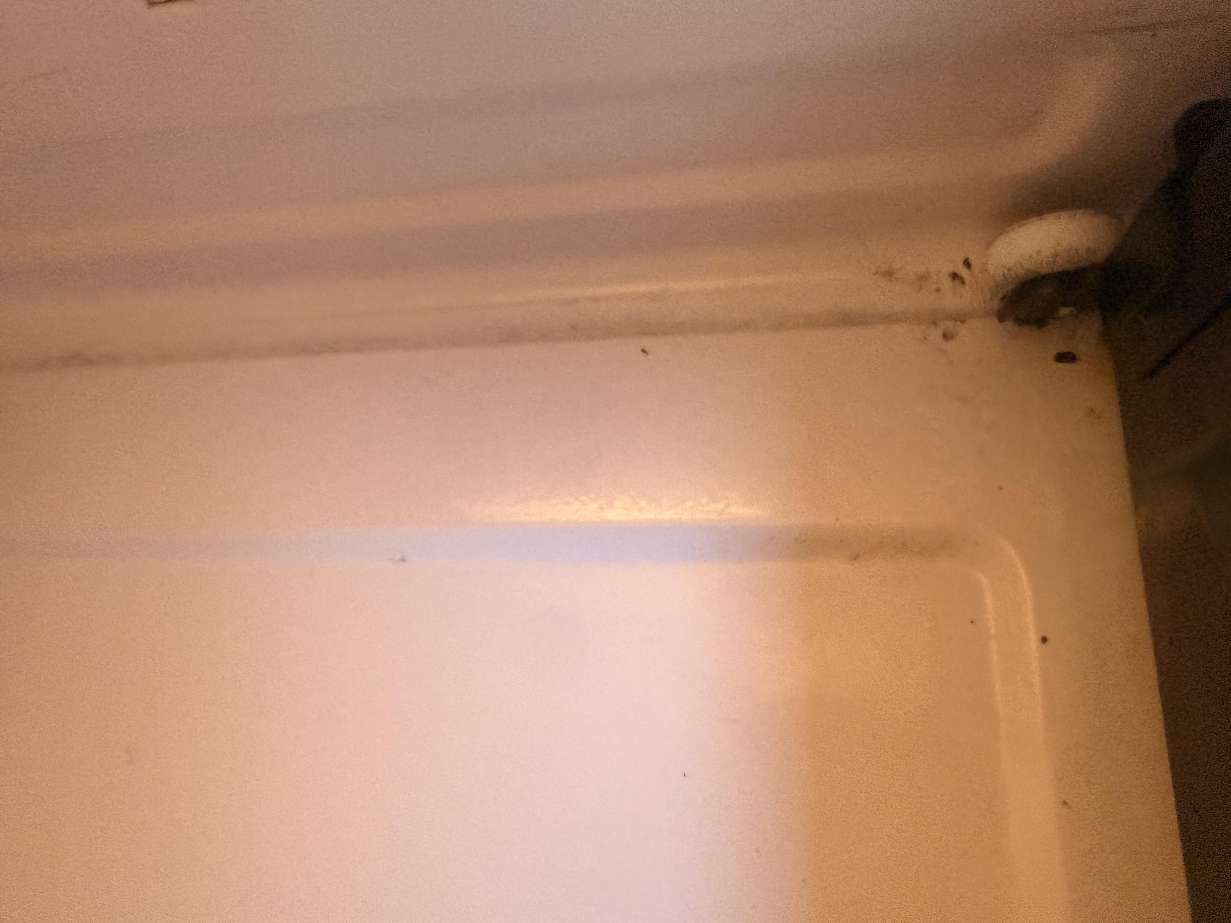 Image 2 of 2